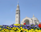 Knights to Make Year of Faith Pilgrimage to “America’s Catholic Church”