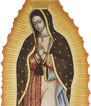 Guadalupe Celebration