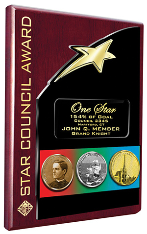 Star council award plaque