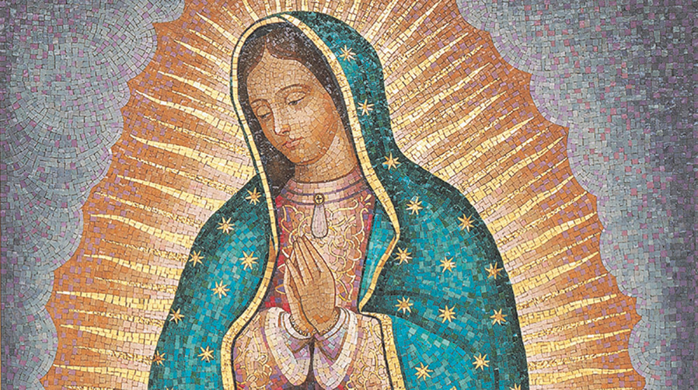 Our Lady Of Guadalupe: Patroness Of The Americas
