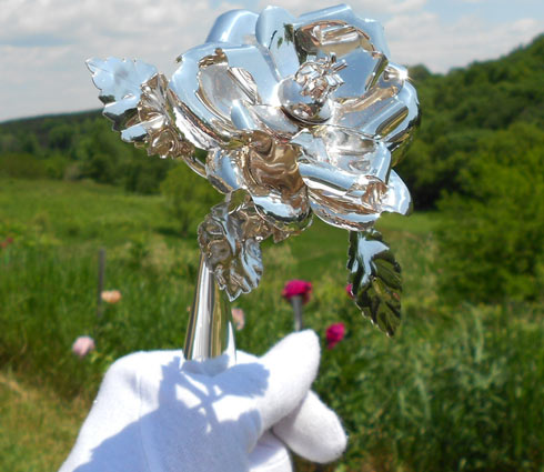 A Knight wearing a silver rose in a ceremony