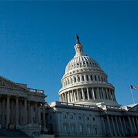 largest catholic fraternal organization