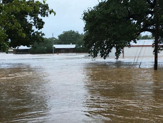 The Colorado River flooded Chromcik Council 2574's home